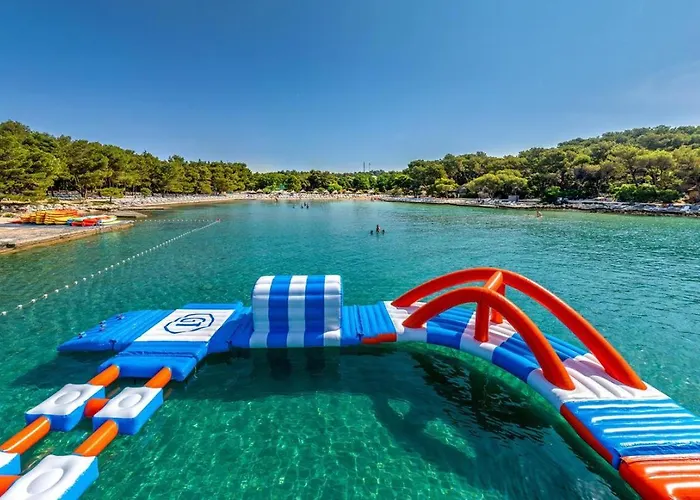 Lily D פאקוסטאן